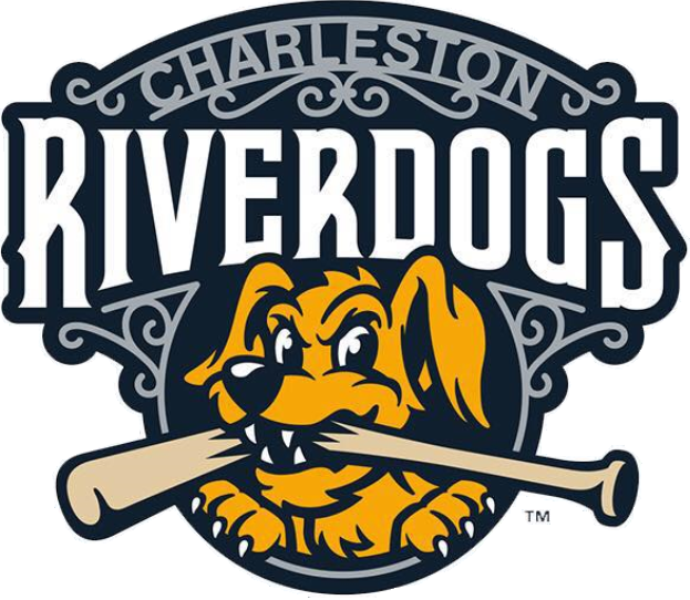 Charleston Riverdogs 2016-Pres Primary Logo iron on paper